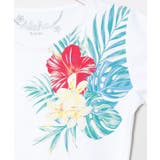 【カヒコ】アラナフラTシャツ | アミナコレクション | 詳細画像12