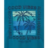 【カヒコ】カハルウメンズＴシャツ【SURF&Palms】 | アミナコレクション | 詳細画像10 