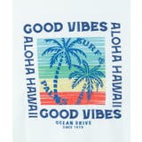 【カヒコ】カハルウメンズＴシャツ【SURF&Palms】 | アミナコレクション | 詳細画像15 