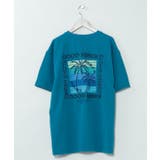 ブルー | 【カヒコ】カハルウメンズＴシャツ【SURF&Palms】 | アミナコレクション