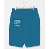 ブルー | 【カヒコ】カハルウメンズハーフパンツ【SURF&Palms】 | アミナコレクション