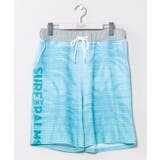 ブルー | 【カヒコ】カカパメンズハーフパンツ【SURF&Palms】 | アミナコレクション 