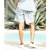 ブルー | 【カヒコ】メンツァーメンズハーフパンツ【SURF&Palms】 | アミナコレクション