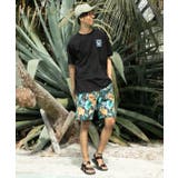 【カヒコ】マークメンズハーフパンツ【SURF&Palms】 | アミナコレクション  | 詳細画像2 