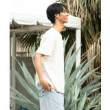 【カヒコ】ヒオラニメンズTシャツ【SURF&Palms】 | アミナコレクション | 詳細画像2