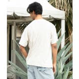 【カヒコ】ヒオラニメンズTシャツ【SURF&Palms】 | アミナコレクション | 詳細画像4