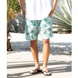 ブルー | 【カヒコ】アイナロアメンズハーフパンツ【SURF&Palms】 | アミナコレクション