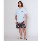 【カヒコ】サニーメンズTシャツ【SURF&Palms】 | チャイハネ | 詳細画像6