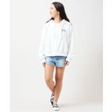 【カヒコ】ジョンフーディー【SURF&Palms】 | アミナコレクション  | 詳細画像3 