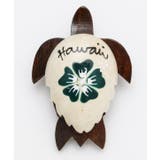 グリーン | 【カヒコ】ラアウホヌマグネット | アミナコレクション 