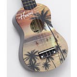【カヒコ】ハワイアンウクレレ | アミナコレクション | 詳細画像2
