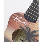 【カヒコ】ハワイアンウクレレ | アミナコレクション | 詳細画像4