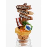 【カヒコ】モチーフサンドボトル | アミナコレクション  | 詳細画像7 