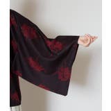 【カヤ】暗がりＴＯＰ | アミナコレクション  | 詳細画像16 