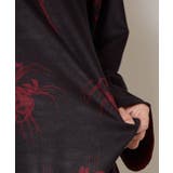 【カヤ】暗がりＴＯＰ | アミナコレクション  | 詳細画像18 