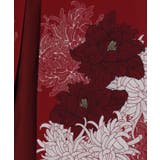 【カヤ】壮麗スカート | アミナコレクション  | 詳細画像10 