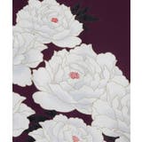 【カヤ】【ＵＶカット加工】絢爛羽織 | アミナコレクション  | 詳細画像16 