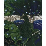 【カヤ】【ＵＶカット加工】	楚々（そそ）鳥獣羽織 | アミナコレクション  | 詳細画像28 