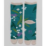 ブルーグリーン | 【カヤ】２４カシンタビ | アミナコレクション 