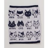 【カヤ】猫のお名前腹巻き【Mサイズ】 | アミナコレクション | 詳細画像6