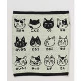 その他 | 【カヤ】猫のお名前腹巻き【Lサイズ】 | アミナコレクション