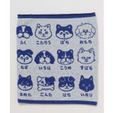 【カヤ】犬のお名前腹巻き【Ｌサイズ】 | アミナコレクション  | 詳細画像6 