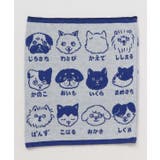 ブルー | 【カヤ】犬のお名前腹巻き【Ｌサイズ】 | アミナコレクション 