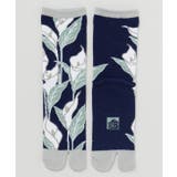 ネイビー | 【カヤ】水芭蕉 足袋型靴下（23-25cm） | アミナコレクション 