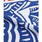 【カヤ】端午の鯉のぼり手拭 | アミナコレクション | 詳細画像4