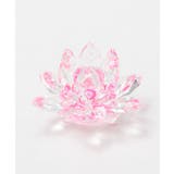 ピンク | 【チャイハネ】ガラスロータスカラーM | アミナコレクション 