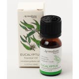 【チャイハネ】ユーカリピュアオイル１０ｍｌ | アミナコレクション  | 詳細画像1 