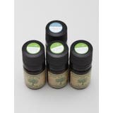 【チャイハネ】エッセンシャルオイル２ｍｌ | アミナコレクション  | 詳細画像12 