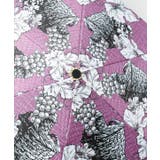 【欧州航路】【遮光性99.99%以上】フルーツ折りたたみ傘 晴雨兼用 | アミナコレクション  | 詳細画像6 