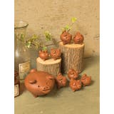 ブラウン | 【チャイハネ】＜幸運＞チリラッキーＰＩＧＳサイズ | アミナコレクション 