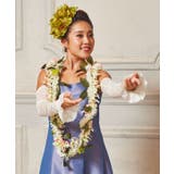 【マウナロア】レースアームカバースカラップ | アミナコレクション  | 詳細画像1 