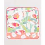 その他 | 【マウナロア】アカハイカラーハンカチ | アミナコレクション