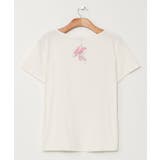 【マウナロア】アートアンスリウムＴ－ＳＨ | アミナコレクション  | 詳細画像1 