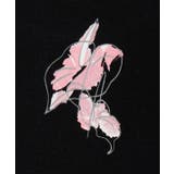 【マウナロア】アートアンスリウムＴ－ＳＨ | アミナコレクション  | 詳細画像5 