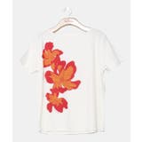 オフホワイト | 【マウナロア】ハイビスカスＴシャツ | アミナコレクション 