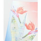 【マウナロア】パリウリA4ファイル | アミナコレクション  | 詳細画像3 