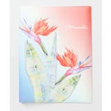 その他 | 【マウナロア】パリウリA4ファイル | アミナコレクション 