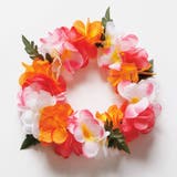 マルチ | 【Maunaloa】デラックスプルメリアヘッドバンド | アミナコレクション 