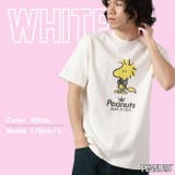 ウッド ストック 半袖 | CharaBasket | 詳細画像3 