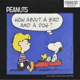 スヌーピー シュローダー 半袖 | CharaBasket | 詳細画像6 