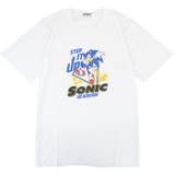 ソニック ザ ヘッジホッグ | CharaBasket | 詳細画像11 