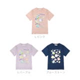 すみっコぐらし キッズ 畜光 | CharaBasket | 詳細画像7 