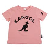 ピンク | カンゴール 半袖 Tシャツ | chil2