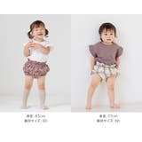 ベビーブルマ パンツ ベビー | chil2 | 詳細画像3