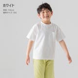 子供服 速乾 半袖Tシャツ | chil2 | 詳細画像7