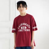 Dカレッジロゴ/ワインレッド | 半袖 Tシャツ 子供服 | chil2